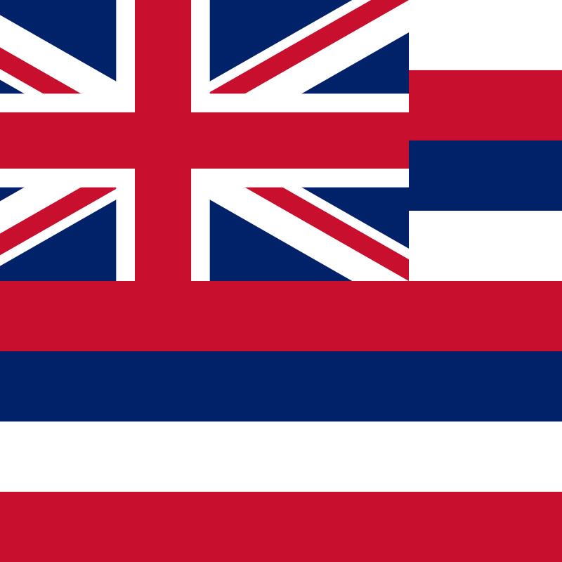 Hawaii State Flag