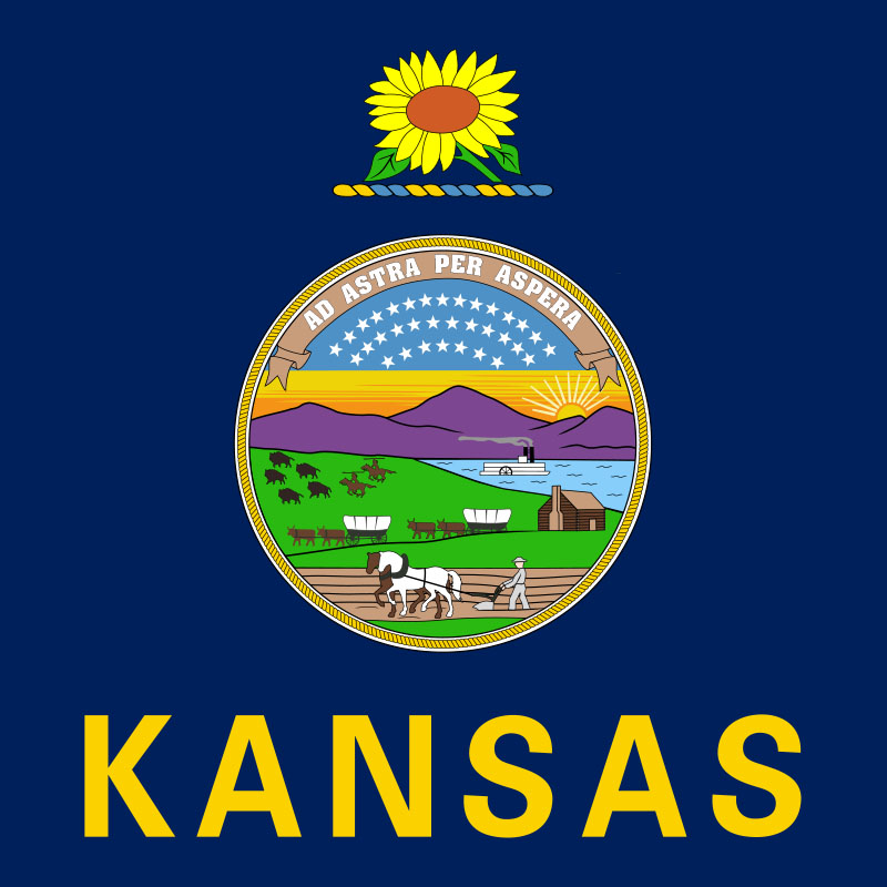 Kansas State Flag