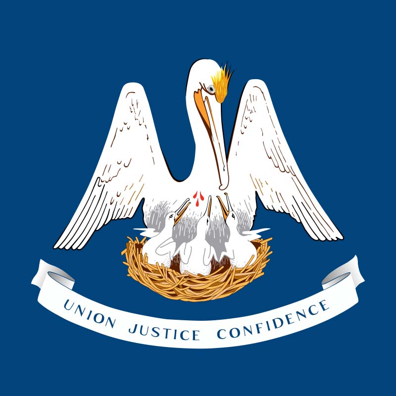 Louisiana State flag.