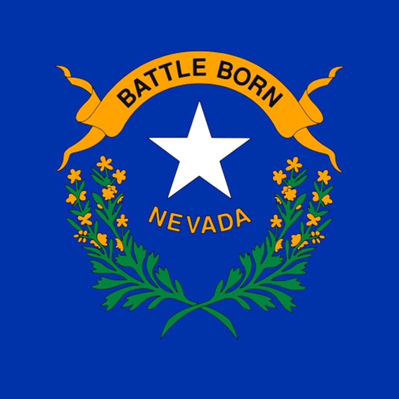 Nevada safe lag