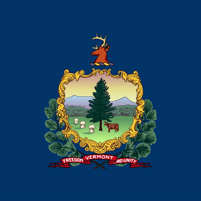 Vermont state flag.